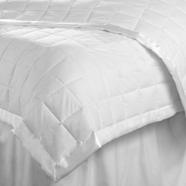 Silk Filled Silk Comforter - DownTown Company